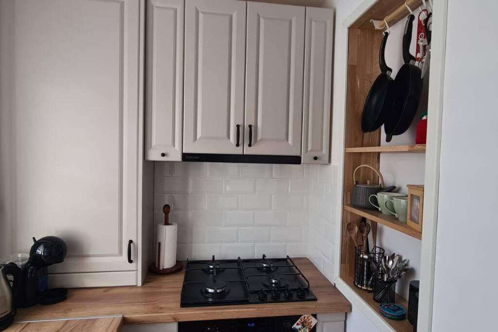 Warm And Cozy Studio Flat Near Straja Uricani  Εξωτερικό φωτογραφία