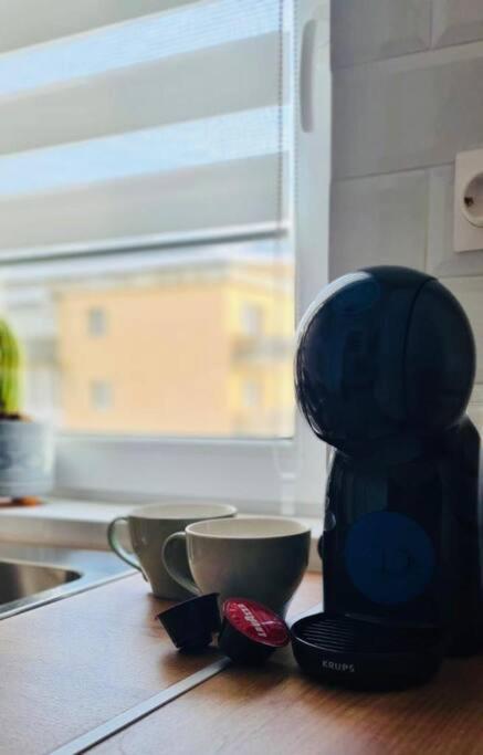 Warm And Cozy Studio Flat Near Straja Uricani  Εξωτερικό φωτογραφία