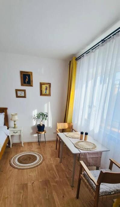 Warm And Cozy Studio Flat Near Straja Uricani  Εξωτερικό φωτογραφία