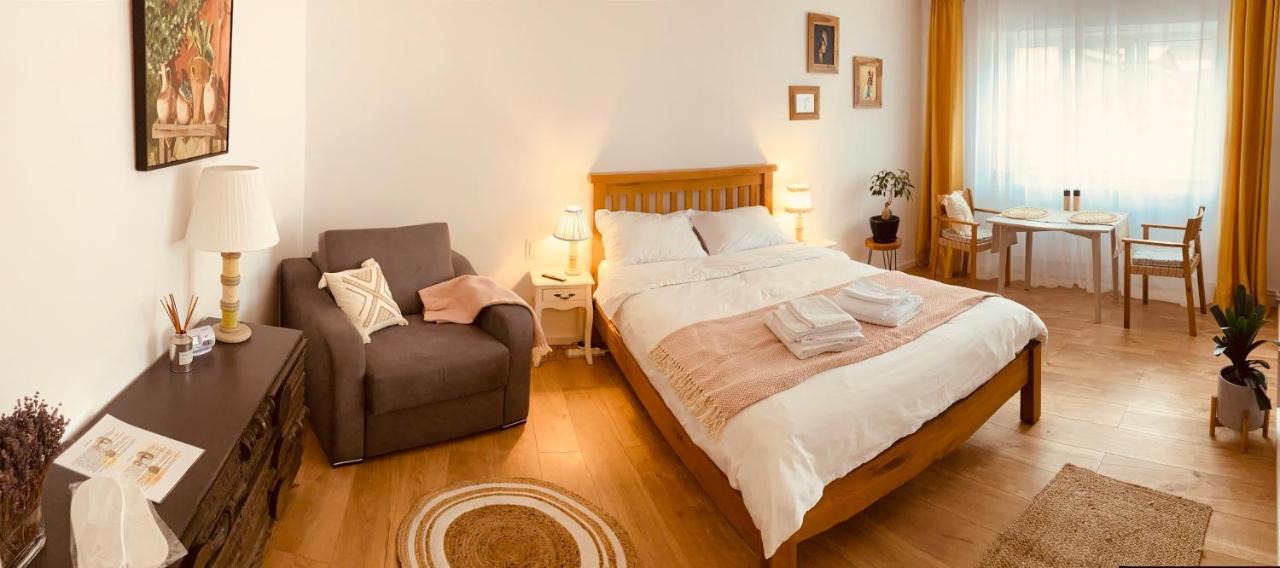 Warm And Cozy Studio Flat Near Straja Uricani  Εξωτερικό φωτογραφία