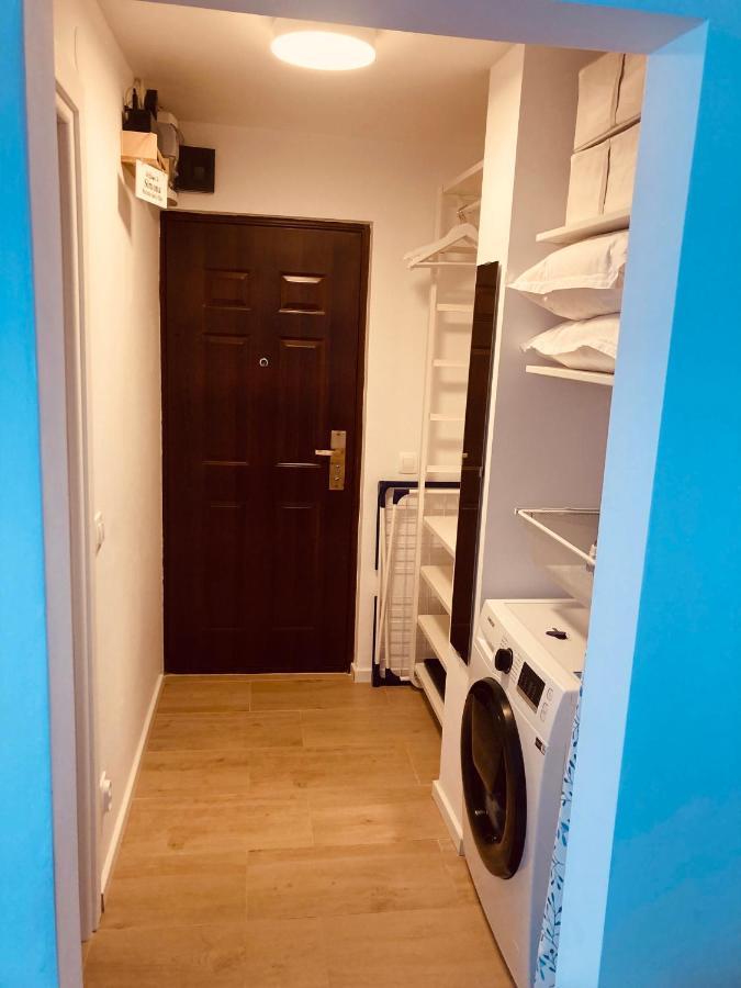 Warm And Cozy Studio Flat Near Straja Uricani  Εξωτερικό φωτογραφία